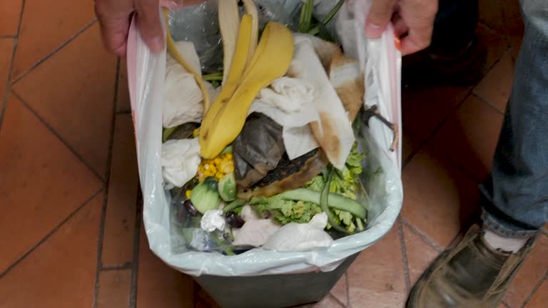 Best Construction Debris Removal  in Inkster, MI